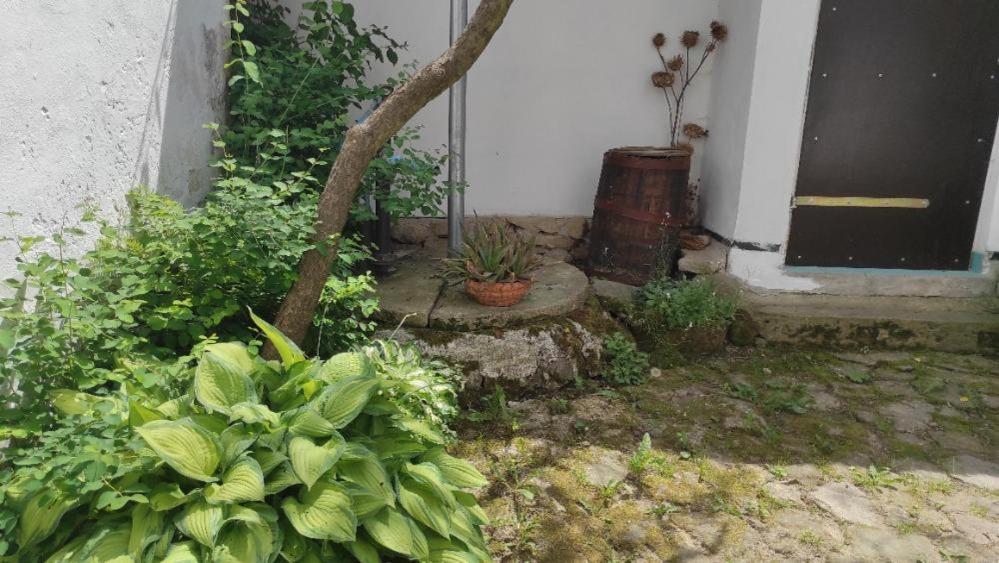 Ubytovani Pod Jilmem Zumberk Dış mekan fotoğraf